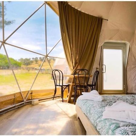 Caravans Park & Glamping Tents In The Vineyard Villa Turda Exterior foto