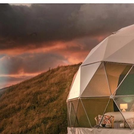 Caravans Park & Glamping Tents In The Vineyard Villa Turda Exterior foto