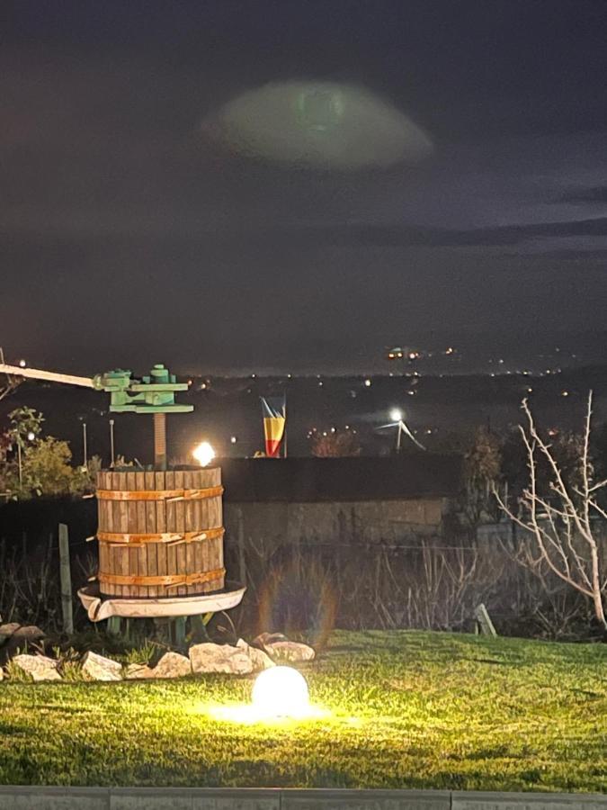 Caravans Park & Glamping Tents In The Vineyard Villa Turda Exterior foto
