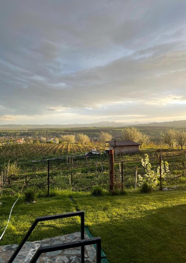 Caravans Park & Glamping Tents In The Vineyard Villa Turda Exterior foto